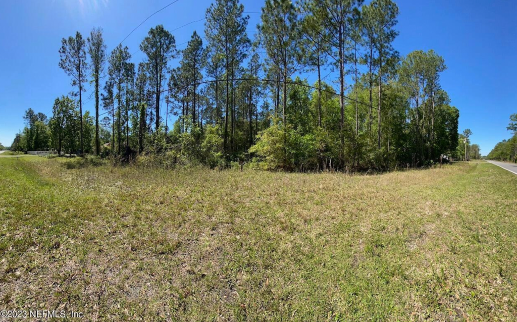 A view of a grassy area with a mix of tall trees and shrubs under a clear blue sky, next to a road.